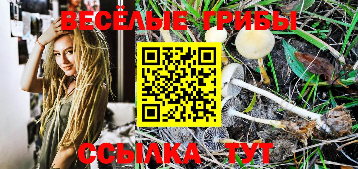 Димитровград  Галлюциногенные грибы ЛСД  Псилоцибиновые грибы Psilocybine cubensis  Вход с VPN 